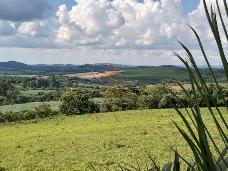 Aliança Imóveis - Imobiliária em Ribeirão Preto - SP - Sítio - Centro - Lavras 