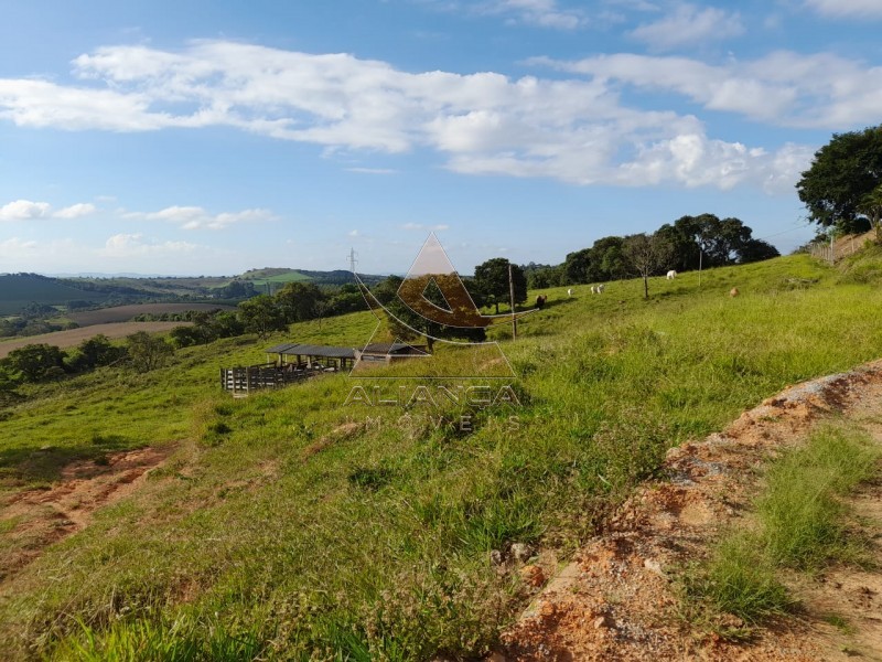 Aliança Imóveis - Imobiliária em Ribeirão Preto - SP - Sítio - Centro - Lavras 