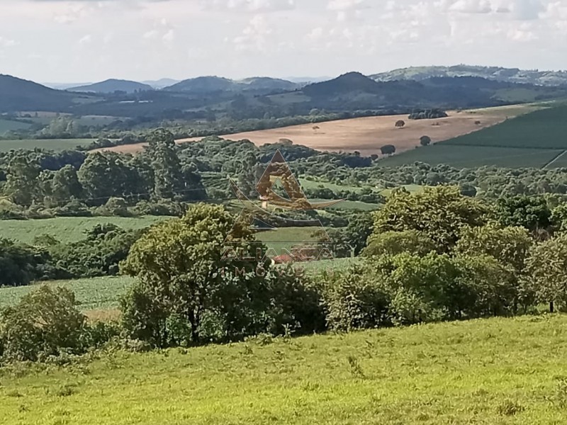 Aliança Imóveis - Imobiliária em Ribeirão Preto - SP - Sítio - Centro - Lavras 