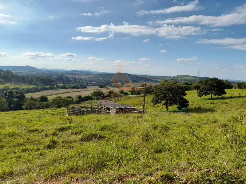 Aliança Imóveis - Imobiliária em Ribeirão Preto - SP - Sítio - Centro - Lavras 