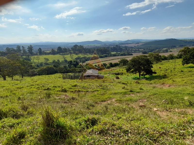 Aliança Imóveis - Imobiliária em Ribeirão Preto - SP - Sítio - Centro - Lavras 