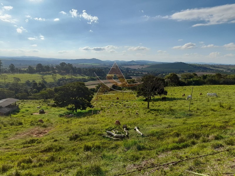 Aliança Imóveis - Imobiliária em Ribeirão Preto - SP - Sítio - Centro - Lavras 