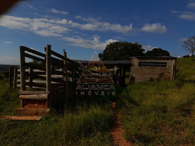 Aliança Imóveis - Imobiliária em Ribeirão Preto - SP - Sítio - Centro - Lavras 