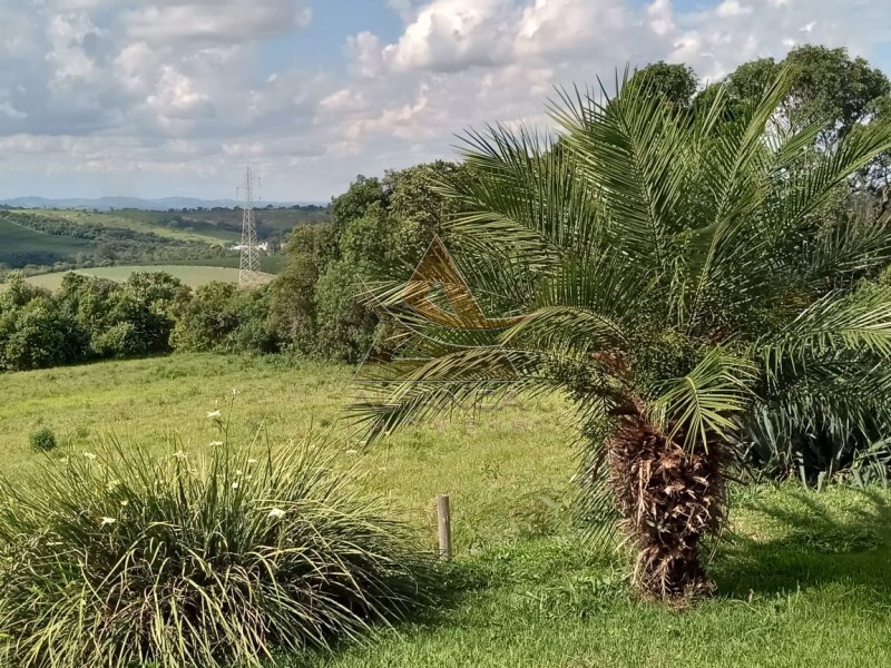 Aliança Imóveis - Imobiliária em Ribeirão Preto - SP - Sítio - Centro - Lavras 