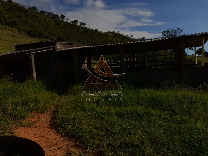 Aliança Imóveis - Imobiliária em Ribeirão Preto - SP - Sítio - Centro - Lavras 