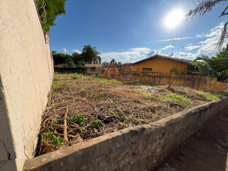 Aliança Imóveis - Imobiliária em Ribeirão Preto - SP - Terreno - Alto da Boa Vista - Ribeirão Preto