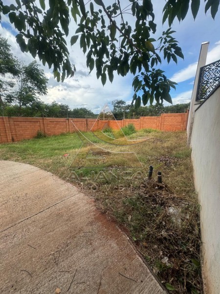Aliança Imóveis - Imobiliária em Ribeirão Preto - SP - Ponto Comercial - Campos Eliseos - Ribeirão Preto