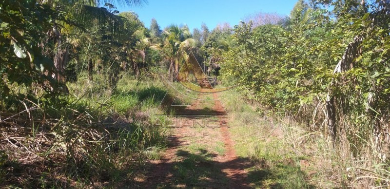 Aliança Imóveis - Imobiliária em Ribeirão Preto - SP - Sítio - Bocaiuva 1 - Araraquara