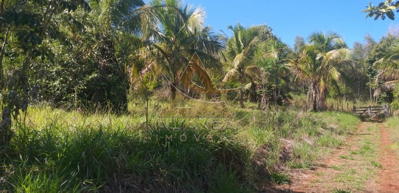 Aliança Imóveis - Imobiliária em Ribeirão Preto - SP - Sítio - Bocaiuva 1 - Araraquara