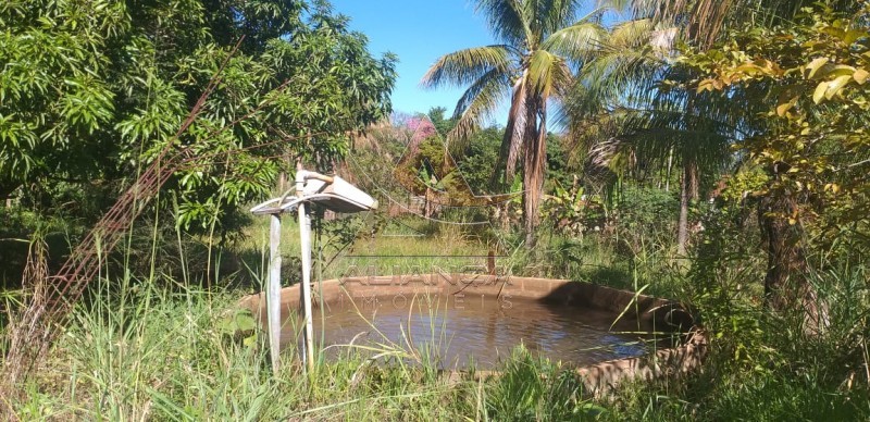 Aliança Imóveis - Imobiliária em Ribeirão Preto - SP - Sítio - Bocaiuva 1 - Araraquara