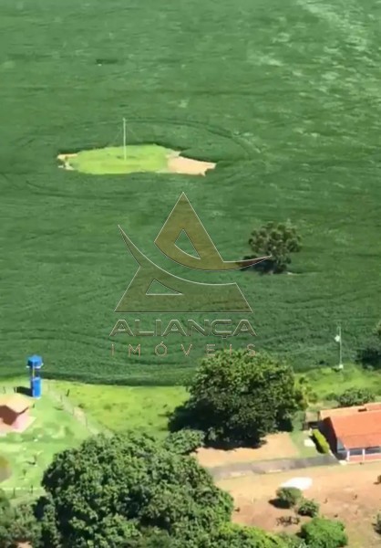 Aliança Imóveis - Imobiliária em Ribeirão Preto - SP - Fazenda  - Zona Rural - São João Batista do Glória