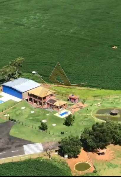 Aliança Imóveis - Imobiliária em Ribeirão Preto - SP - Fazenda  - Zona Rural - São João Batista do Glória