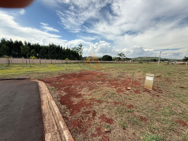 Aliança Imóveis - Imobiliária em Ribeirão Preto - SP - Terreno Condomínio - Recreio Anhanguera - Ribeirão Preto