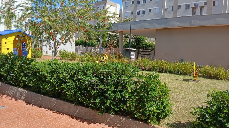 Aliança Imóveis - Imobiliária em Ribeirão Preto - SP - Apartamento - Bonfim Paulista - Ribeirão Preto