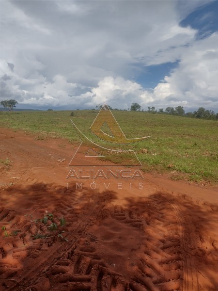 Aliança Imóveis - Imobiliária em Ribeirão Preto - SP - Fazenda  - Zona Rural - Ponte Alta do Bom Jesus