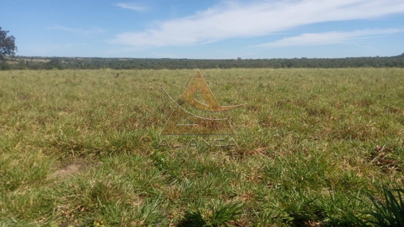 Aliança Imóveis - Imobiliária em Ribeirão Preto - SP - Fazenda  - Zona Rural - Ponte Alta do Bom Jesus