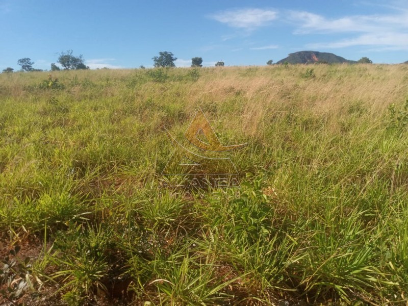 Aliança Imóveis - Imobiliária em Ribeirão Preto - SP - Fazenda  - Zona Rural - Ponte Alta do Bom Jesus