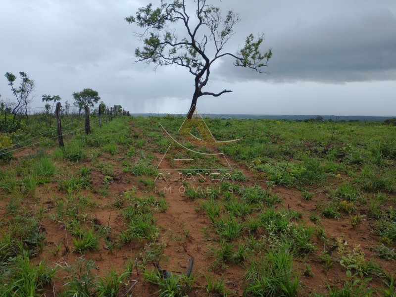 Aliança Imóveis - Imobiliária em Ribeirão Preto - SP - Fazenda  - Zona Rural - Ponte Alta do Bom Jesus