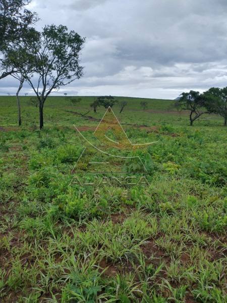 Aliança Imóveis - Imobiliária em Ribeirão Preto - SP - Fazenda  - Zona Rural - Ponte Alta do Bom Jesus