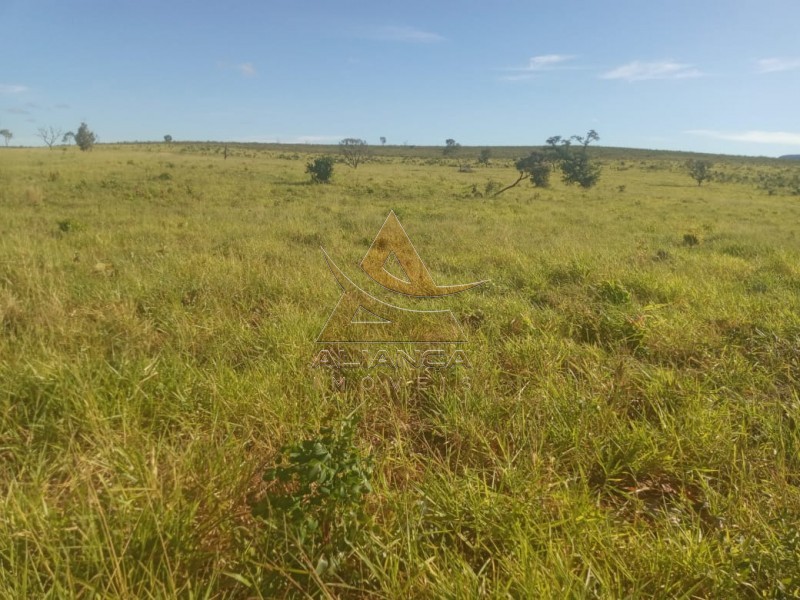 Aliança Imóveis - Imobiliária em Ribeirão Preto - SP - Fazenda  - Zona Rural - Ponte Alta do Bom Jesus