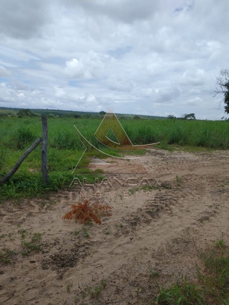 Aliança Imóveis - Imobiliária em Ribeirão Preto - SP - Fazenda  - Zona Rural - Ponte Alta do Bom Jesus