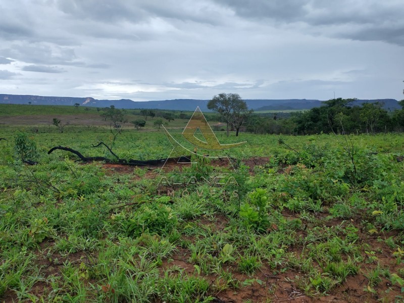 Aliança Imóveis - Imobiliária em Ribeirão Preto - SP - Fazenda  - Zona Rural - Ponte Alta do Bom Jesus