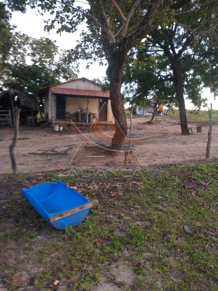 Aliança Imóveis - Imobiliária em Ribeirão Preto - SP - Fazenda  - Zona Rural - Ponte Alta do Bom Jesus