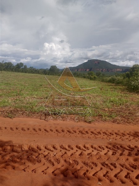 Aliança Imóveis - Imobiliária em Ribeirão Preto - SP - Fazenda  - Zona Rural - Ponte Alta do Bom Jesus