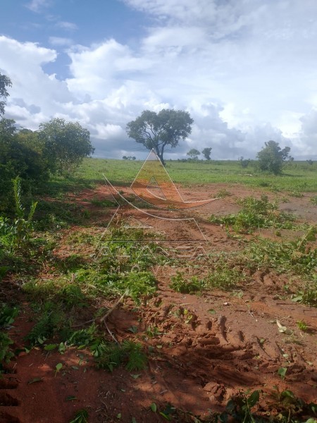 Aliança Imóveis - Imobiliária em Ribeirão Preto - SP - Fazenda  - Zona Rural - Ponte Alta do Bom Jesus