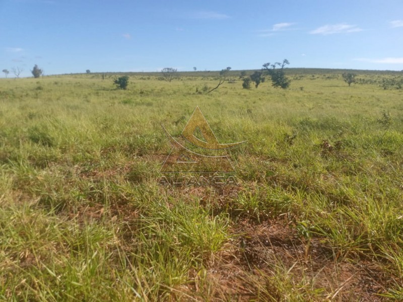 Aliança Imóveis - Imobiliária em Ribeirão Preto - SP - Fazenda  - Zona Rural - Ponte Alta do Bom Jesus