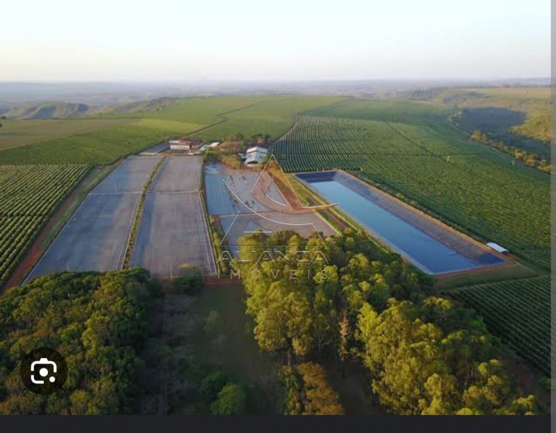 Aliança Imóveis - Imobiliária em Ribeirão Preto - SP - Fazenda  - Zona Rural - Tiros