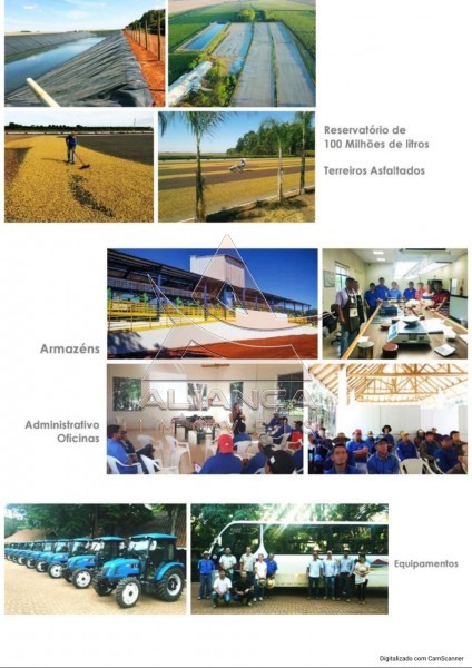 Aliança Imóveis - Imobiliária em Ribeirão Preto - SP - Fazenda  - Zona Rural - Tiros