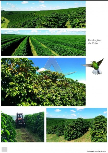 Aliança Imóveis - Imobiliária em Ribeirão Preto - SP - Fazenda  - Zona Rural - Tiros