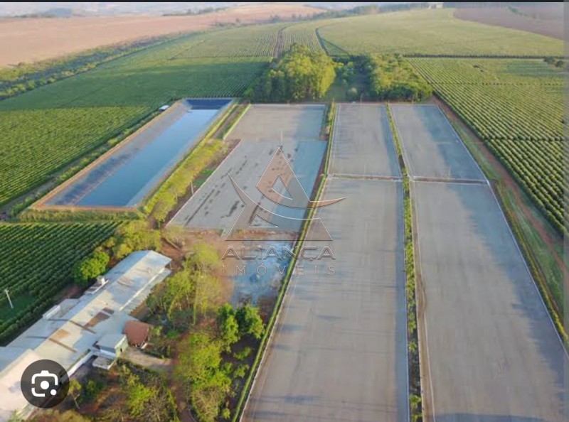 Aliança Imóveis - Imobiliária em Ribeirão Preto - SP - Fazenda  - Zona Rural - Tiros