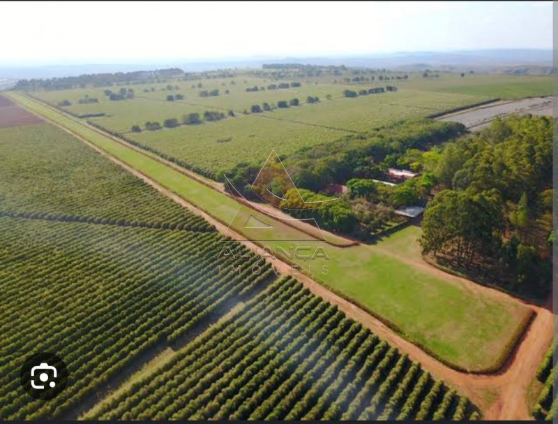 Aliança Imóveis - Imobiliária em Ribeirão Preto - SP - Fazenda  - Zona Rural - Tiros