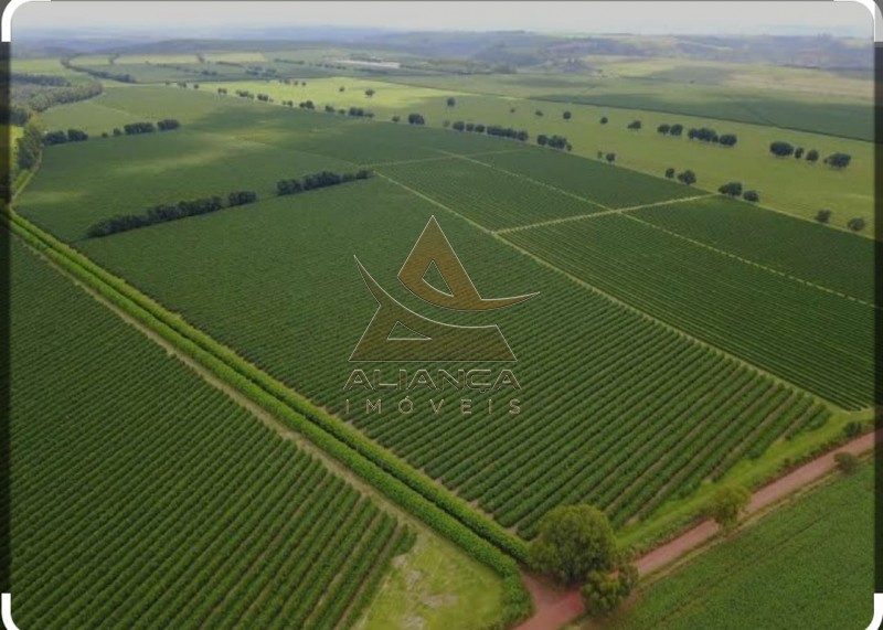 Fazenda  - Zona Rural - Tiros