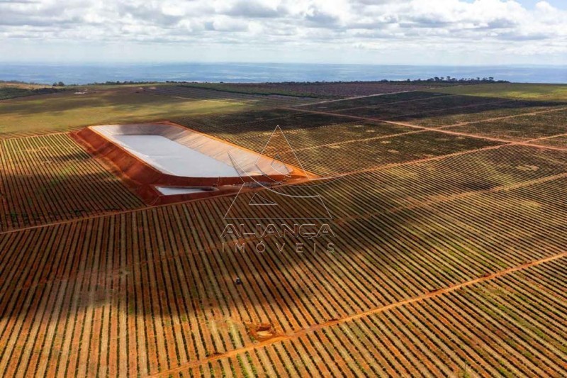 Aliança Imóveis - Imobiliária em Ribeirão Preto - SP - Fazenda  - Zona Rural - Buenópolis