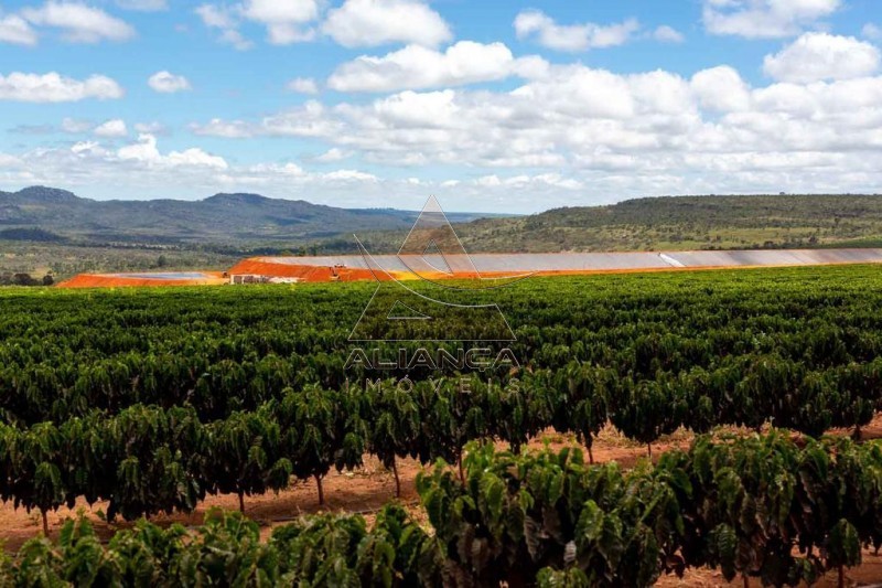 Aliança Imóveis - Imobiliária em Ribeirão Preto - SP - Fazenda  - Zona Rural - Buenópolis