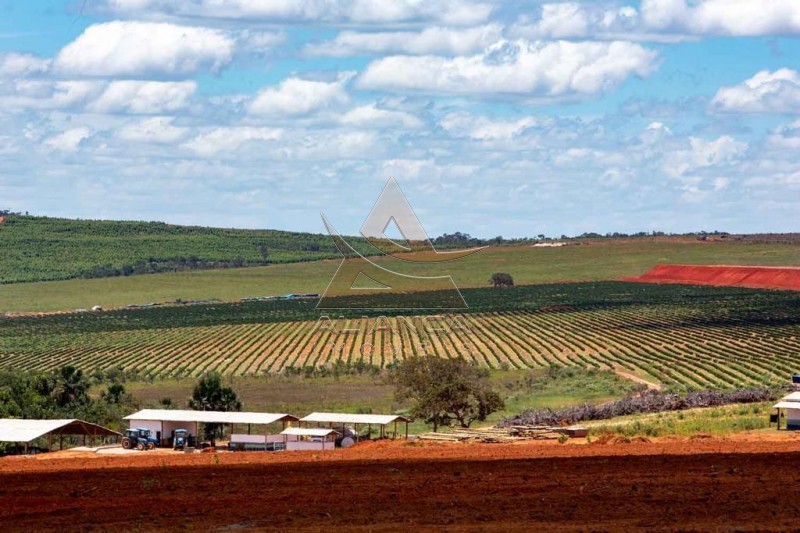 Aliança Imóveis - Imobiliária em Ribeirão Preto - SP - Fazenda  - Zona Rural - Buenópolis