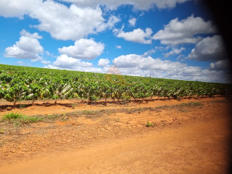 Aliança Imóveis - Imobiliária em Ribeirão Preto - SP - Fazenda  - Zona Rural - Buenópolis