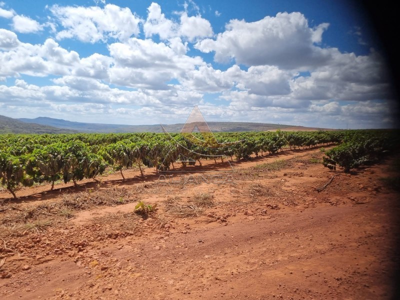Aliança Imóveis - Imobiliária em Ribeirão Preto - SP - Fazenda  - Zona Rural - Buenópolis