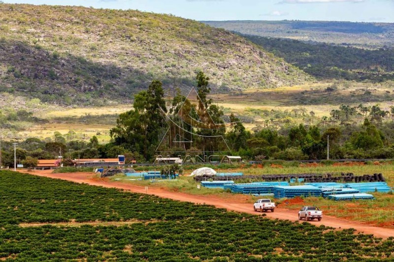 Aliança Imóveis - Imobiliária em Ribeirão Preto - SP - Fazenda  - Zona Rural - Buenópolis