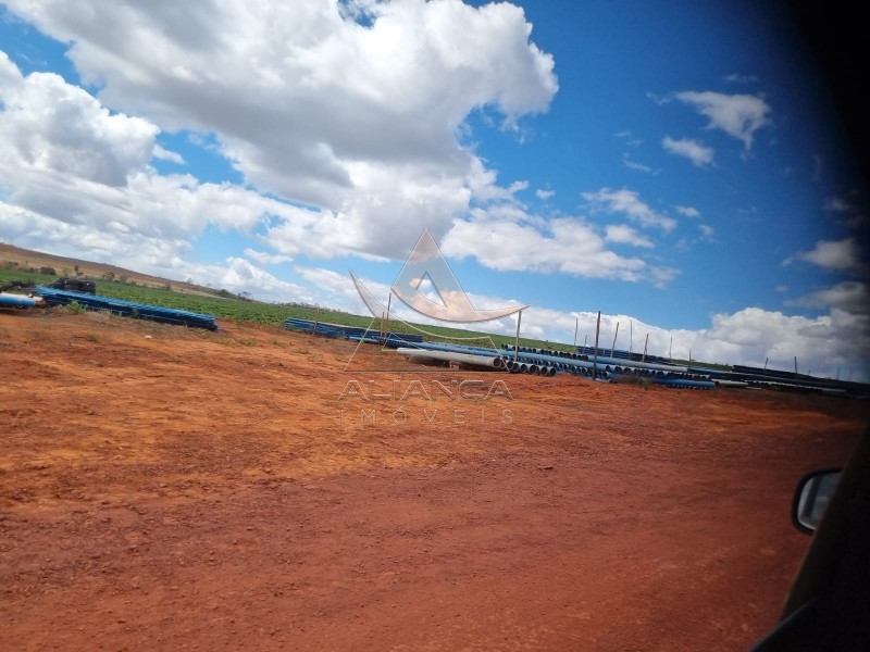 Aliança Imóveis - Imobiliária em Ribeirão Preto - SP - Fazenda  - Zona Rural - Buenópolis