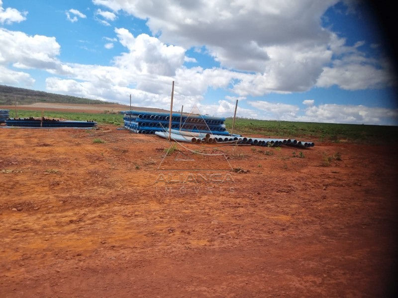 Aliança Imóveis - Imobiliária em Ribeirão Preto - SP - Fazenda  - Zona Rural - Buenópolis