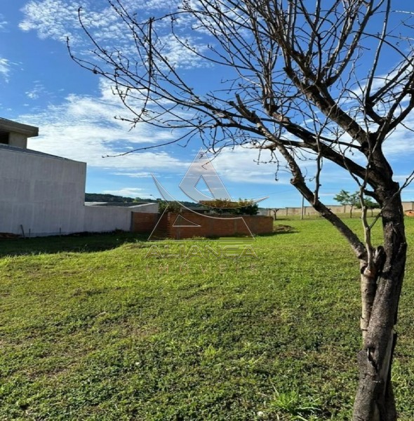 Aliança Imóveis - Imobiliária em Ribeirão Preto - SP - Terreno Condomínio - Reserva San Pedro - Ribeirão Preto