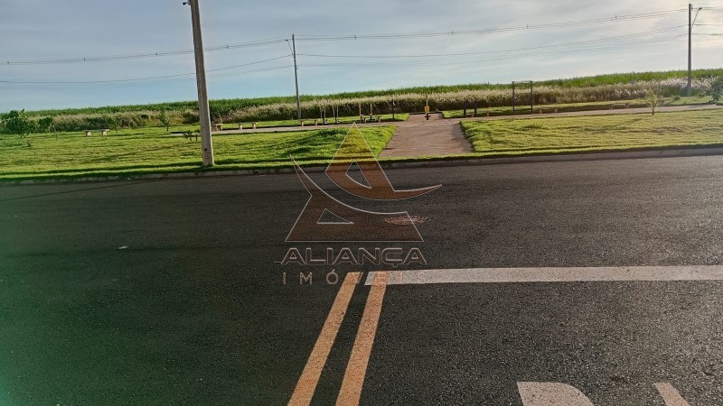 Aliança Imóveis - Imobiliária em Ribeirão Preto - SP - Terreno - Casa Branca - Cravinhos