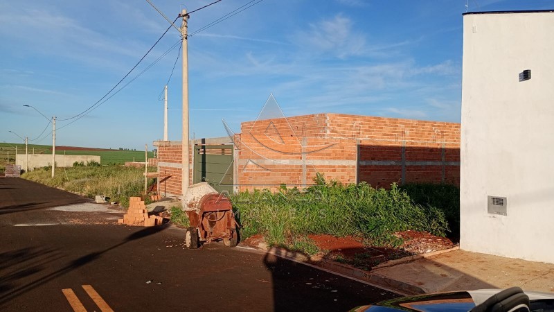 Aliança Imóveis - Imobiliária em Ribeirão Preto - SP - Terreno - Casa Branca - Cravinhos