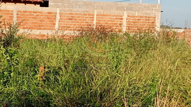 Aliança Imóveis - Imobiliária em Ribeirão Preto - SP - Terreno - Casa Branca - Cravinhos