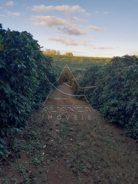 Aliança Imóveis - Imobiliária em Ribeirão Preto - SP - Fazenda  - Zona Rural - Araxá