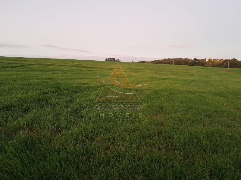 Aliança Imóveis - Imobiliária em Ribeirão Preto - SP - Fazenda  - Zona Rural - Araxá